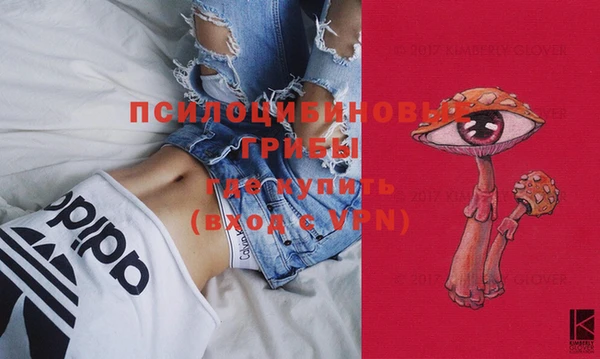 марки nbome Богданович
