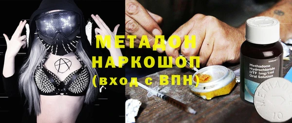 индика Богородск