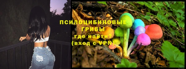 эйфоретик Богородицк