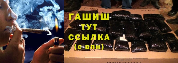 индика Богородск
